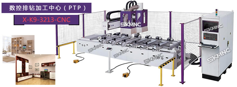 數(shù)控排鉆加工中心PTP